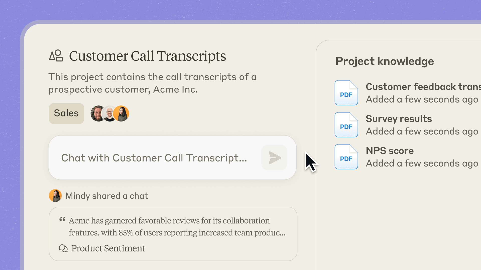 Claude Projects: shared Customer Call Transcripts project with team members, chat, and project knowledge files