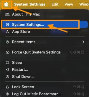 The Apple menu open in macOS with the System Settings option highlighted